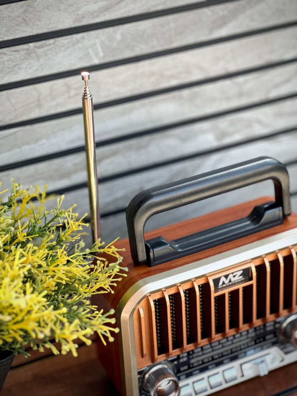 Retro Radio Speaker🔊