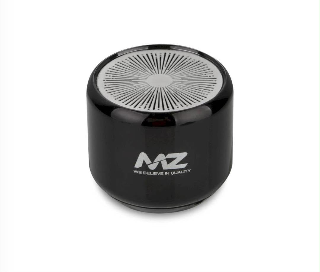 MZ Portable Mini Speaker